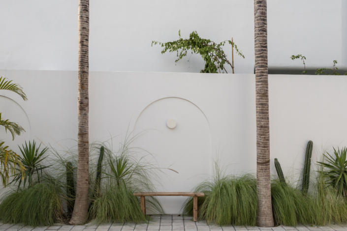Minimalist outdoor wall with palm trees and wooden bench at Jipsi Villas Canggu Bali